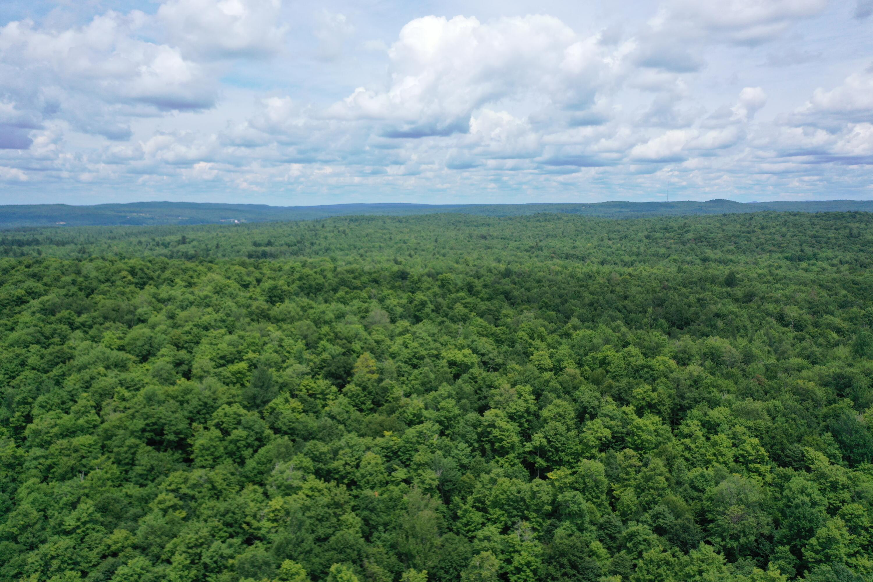 460 Little John Road Colton, NY 13625 - Photo 5 of 14 DJI_0018