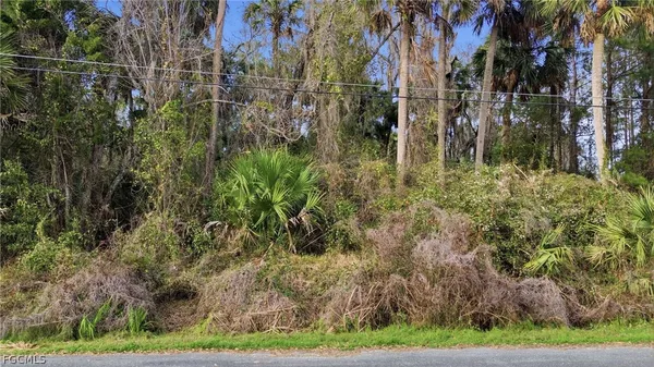 $150,000 | Fox Road, Astor, FL 32102