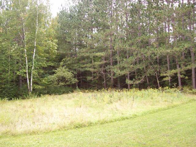 N13389 Hicks Landing Road Fifield, WI 54524 - Photo 4 of 19 Gallery Image 4