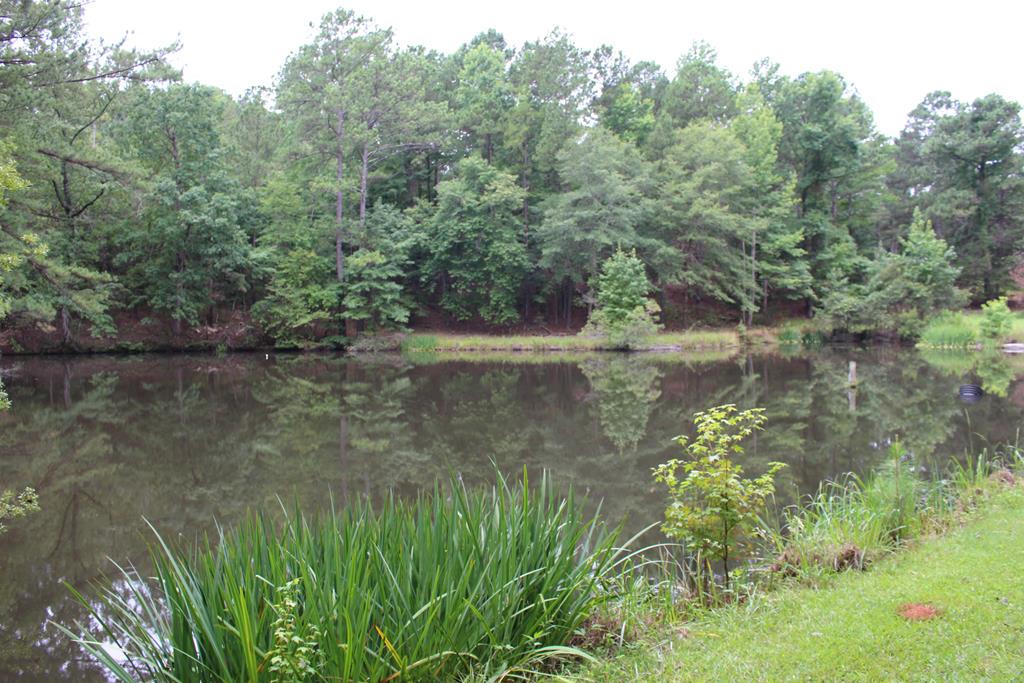 2357 Old River Road Fortson, GA 31808 - Photo 1 of 11 Main View