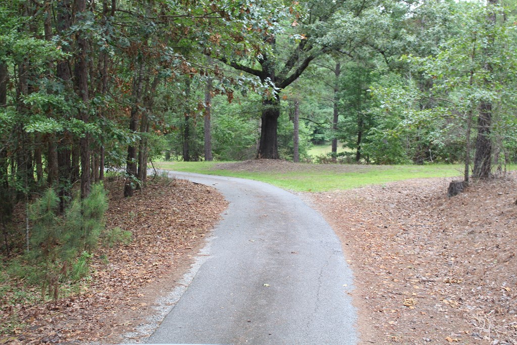 2357 Old River Road Fortson, GA 31808 - Photo 2 of 11 Gallery Image 2