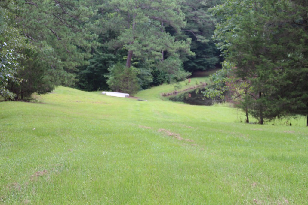 2357 Old River Road Fortson, GA 31808 - Photo 3 of 11 Gallery Image 3