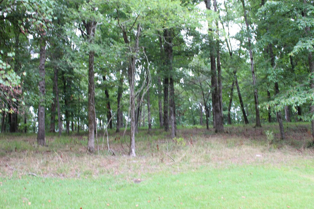 2357 Old River Road Fortson, GA 31808 - Photo 8 of 11 Gallery Image 8