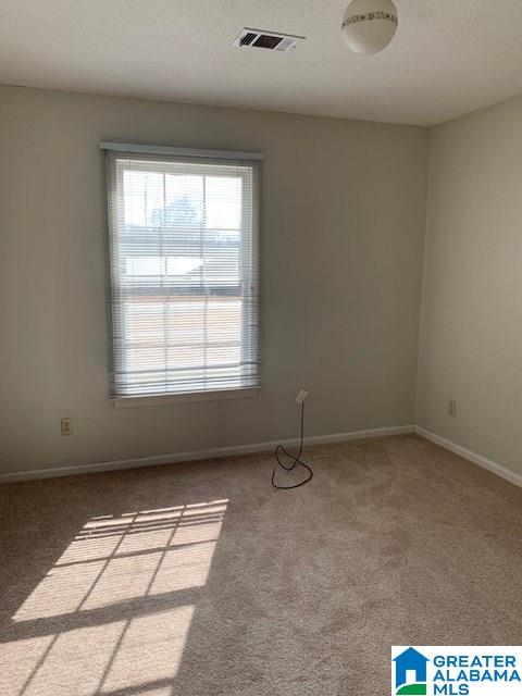 12133 Graceland Road Northport, AL 35475 - Photo 11 of 29