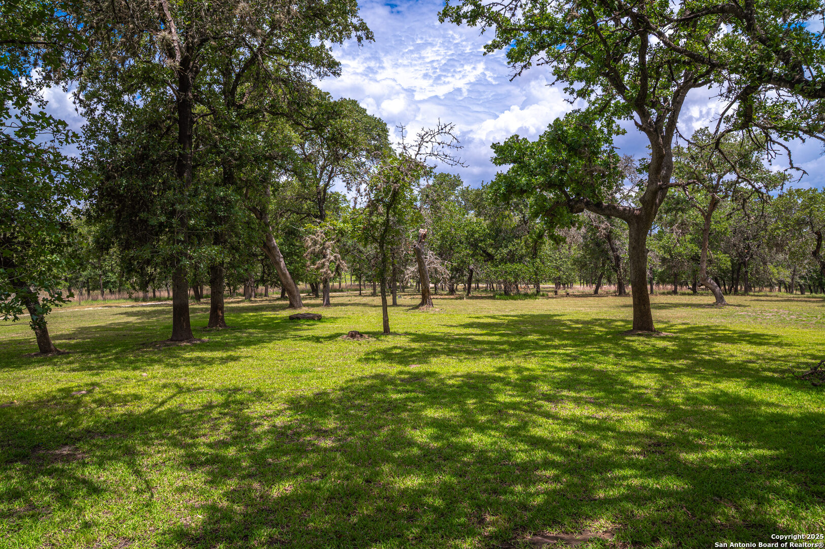 2981 Vivroux Ranch Road Seguin, TX 78155 - Photo 14 of 50 a view of yard with trees