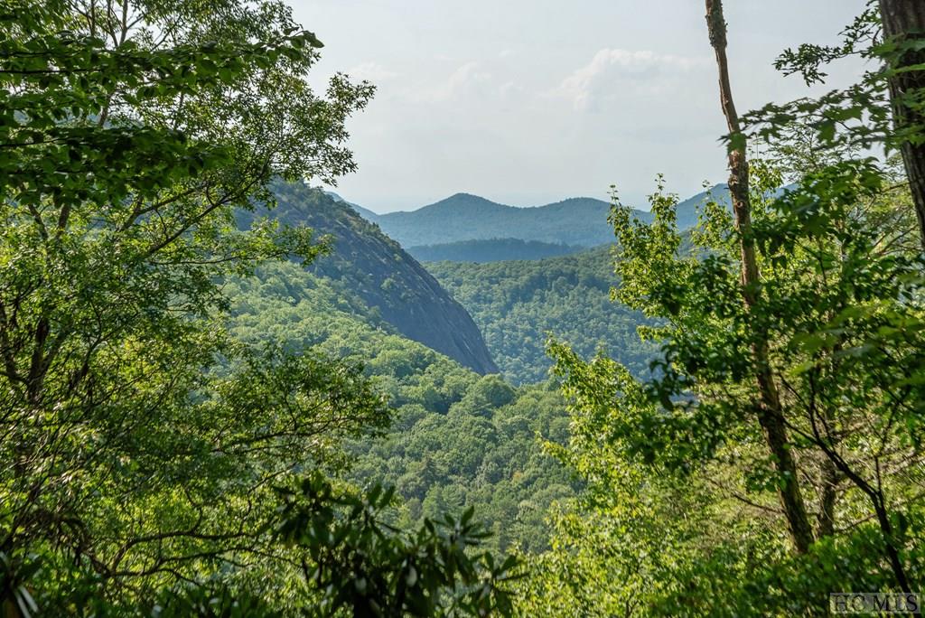 Lot P5 Springwater Road Glenville, NC 28736 - Photo 8 of 26 Gallery Image 8