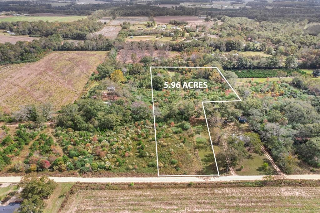 6-acres Cohen Road Slocomb, AL 36375 - Photo 1 of 5 Main View