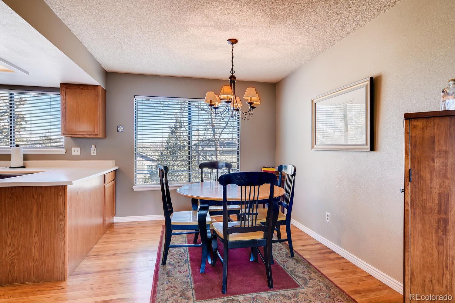 513 Southpark Road Highlands Ranch, CO 80126 - Photo 7 of 26 Gallery Image 7