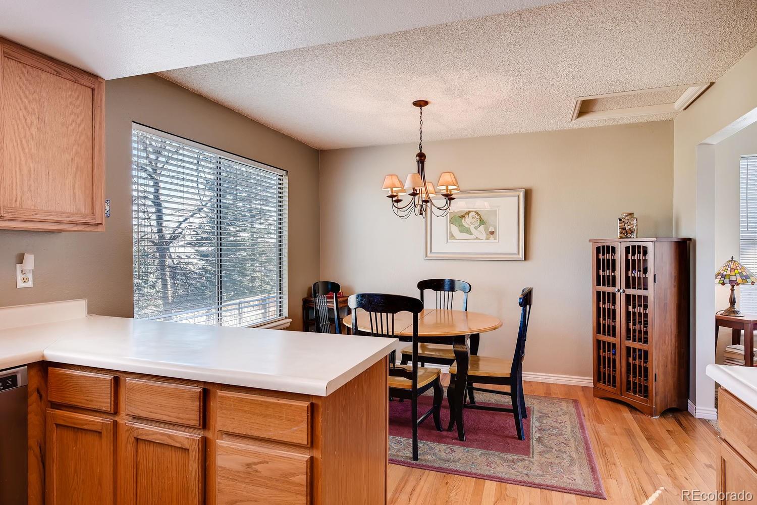 513 Southpark Road Highlands Ranch, CO 80126 - Photo 10 of 26 Gallery Image 10