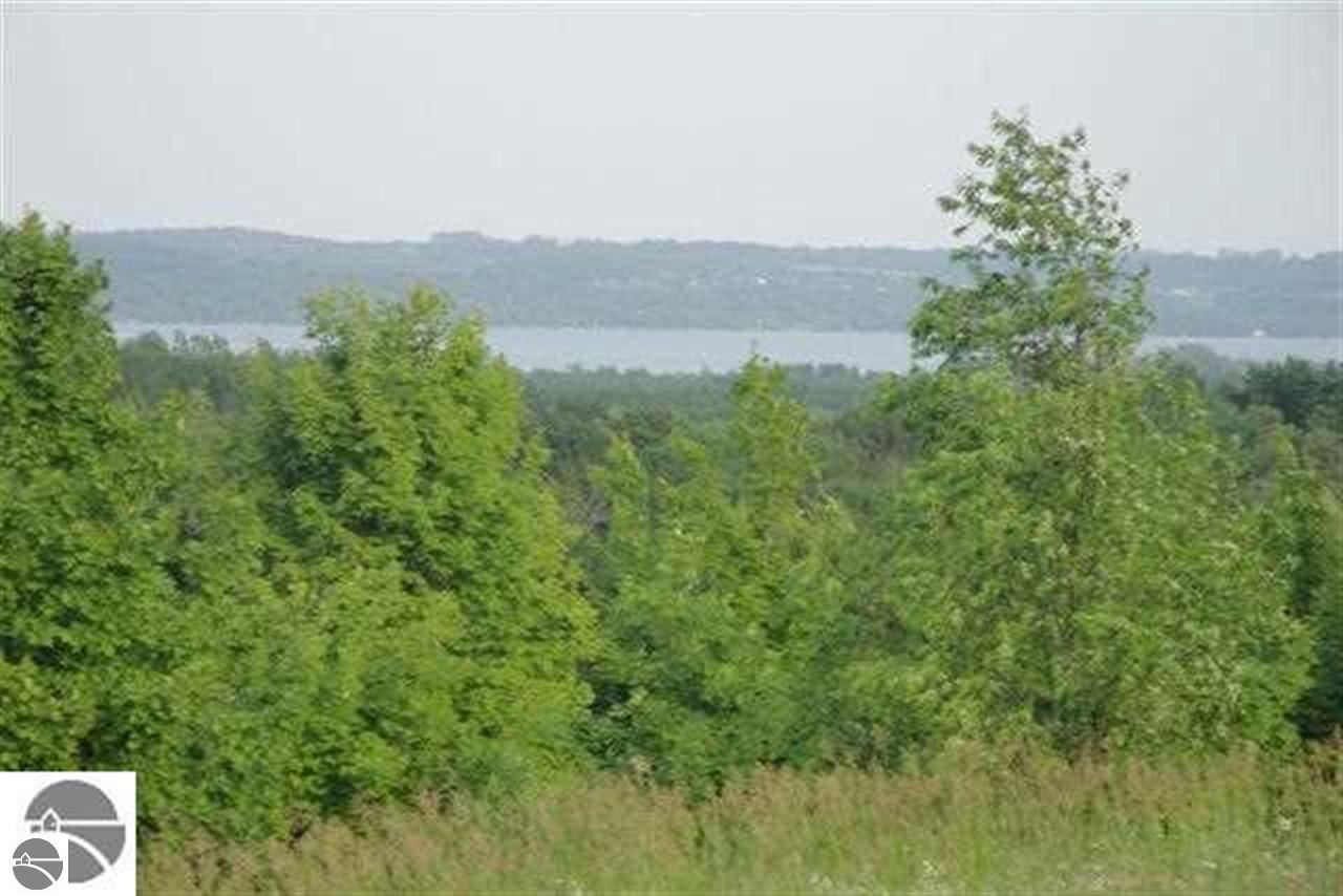 Whitehill Drive Cedar, MI 49621 - Photo 1 of 20 1782677.JPG