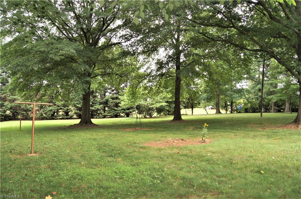 2520 Weymoth Road Winston-Salem, NC 27103 - Photo 29 of 30 Backyard