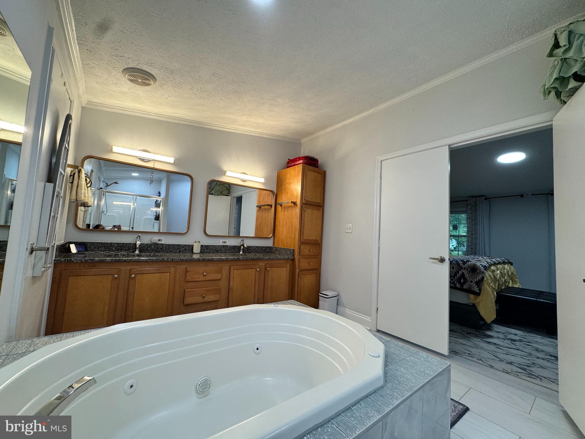 5 Emery Circle Delmar, DE 19940 - Photo 30 of 49 a large bathroom with a tub and a large mirror