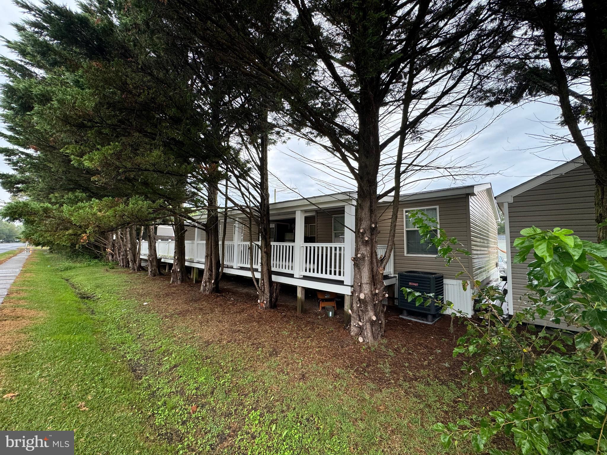 5 Emery Circle Delmar, DE 19940 - Photo 48 of 49 a backyard of a house with barbeque oven and large tree