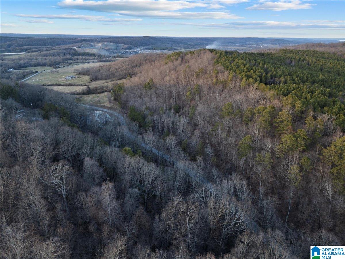 0 Rocky Hollow Road, Unit 10 Guntersville, AL 35976 - Photo 7 of 11