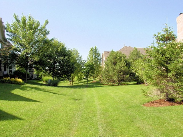522 Bridgestone Court Inverness, IL 60010 - Photo 20 of 21
