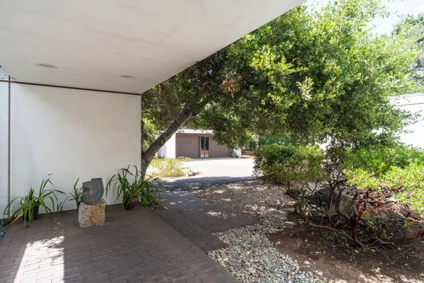 a backyard of a house with plants and large tree