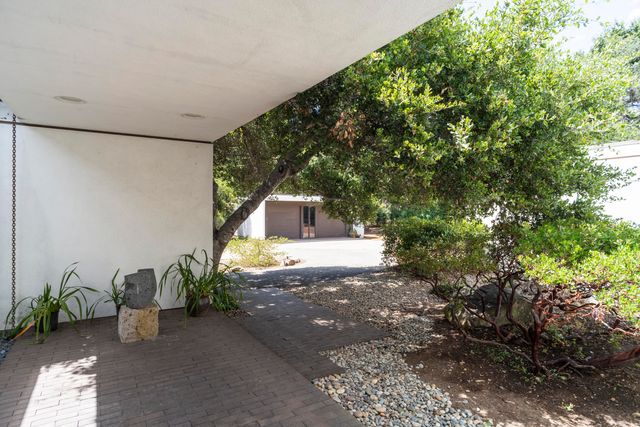 a backyard of a house with plants and large tree