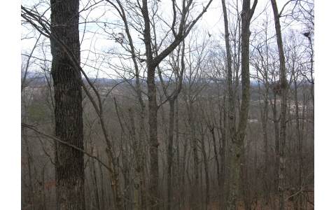 46 Eagles Nest Blue Ridge Blue Ridge, GA 30513 - Photo 1 of 1 a view of forest