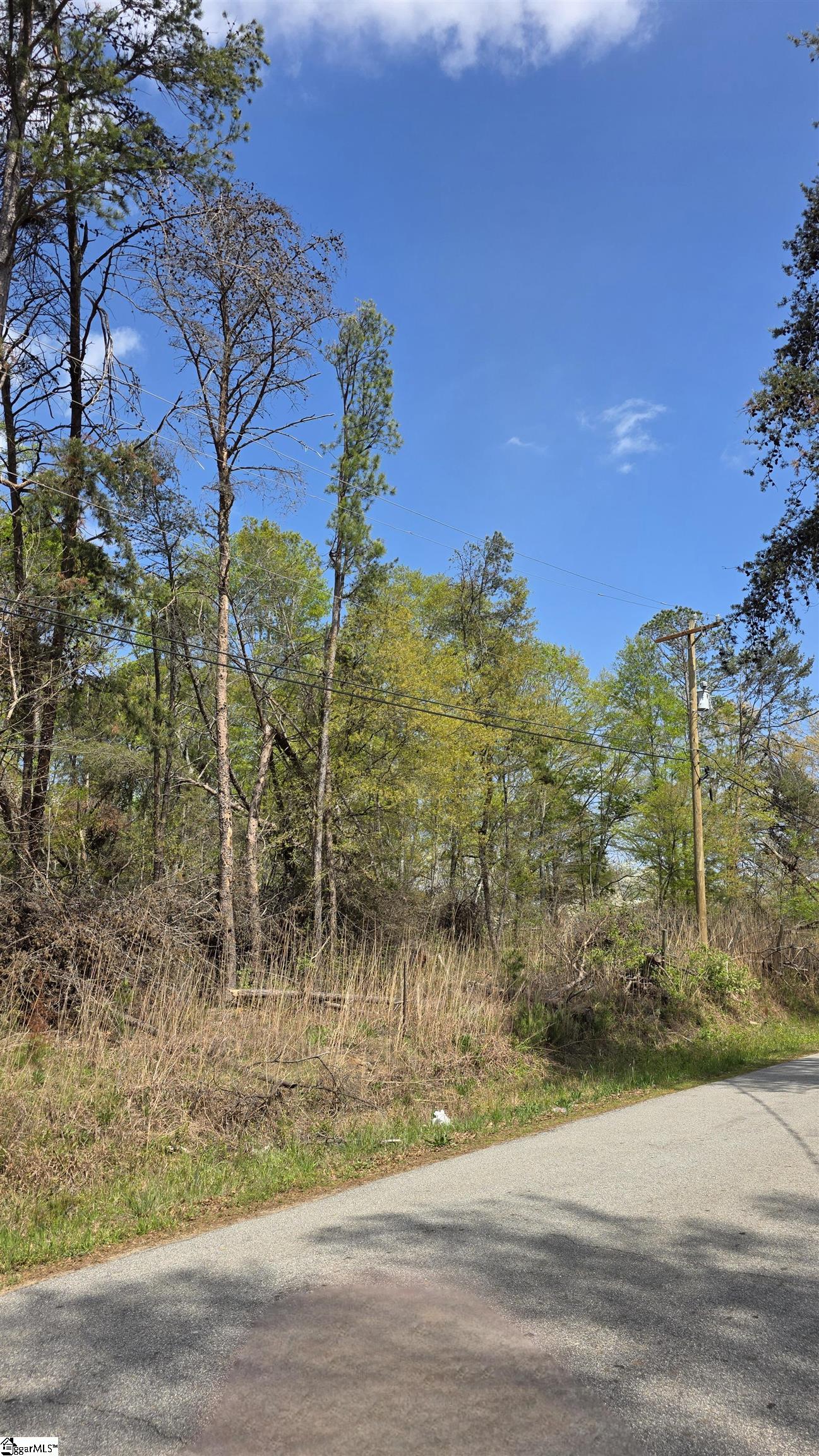 0 Dalton Road Piedmont, SC 29673 - Photo 1 of 7