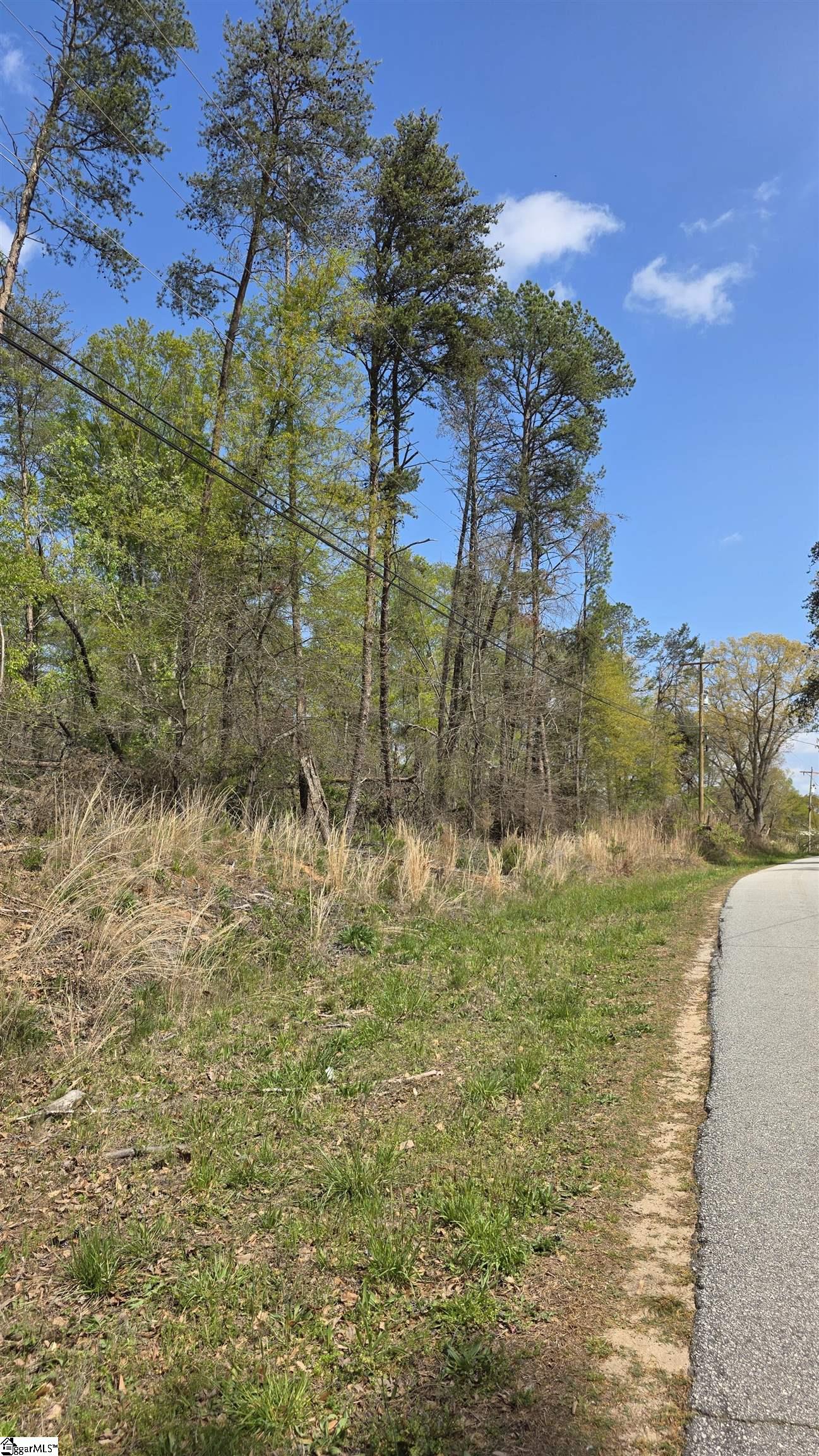 0 Dalton Road Piedmont, SC 29673 - Photo 2 of 7