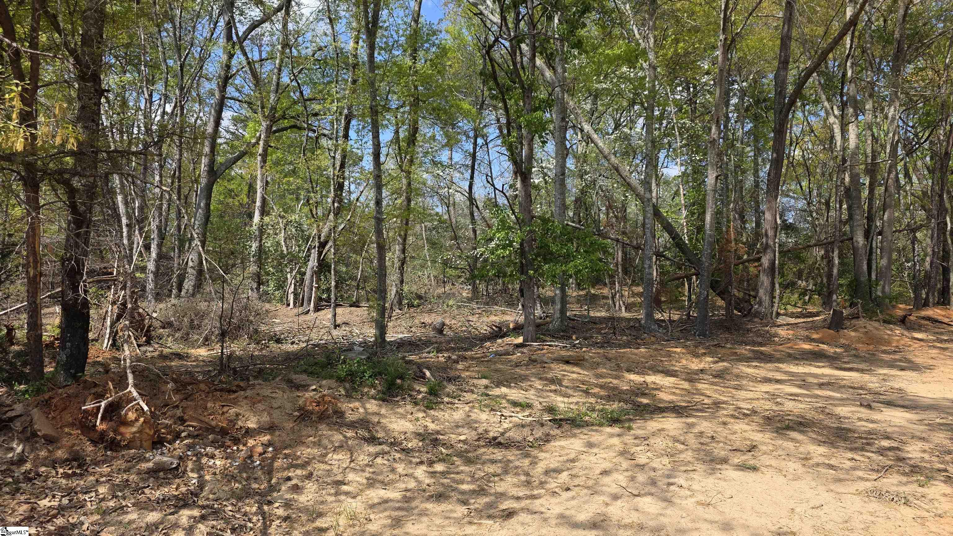 0 Dalton Road Piedmont, SC 29673 - Photo 3 of 7