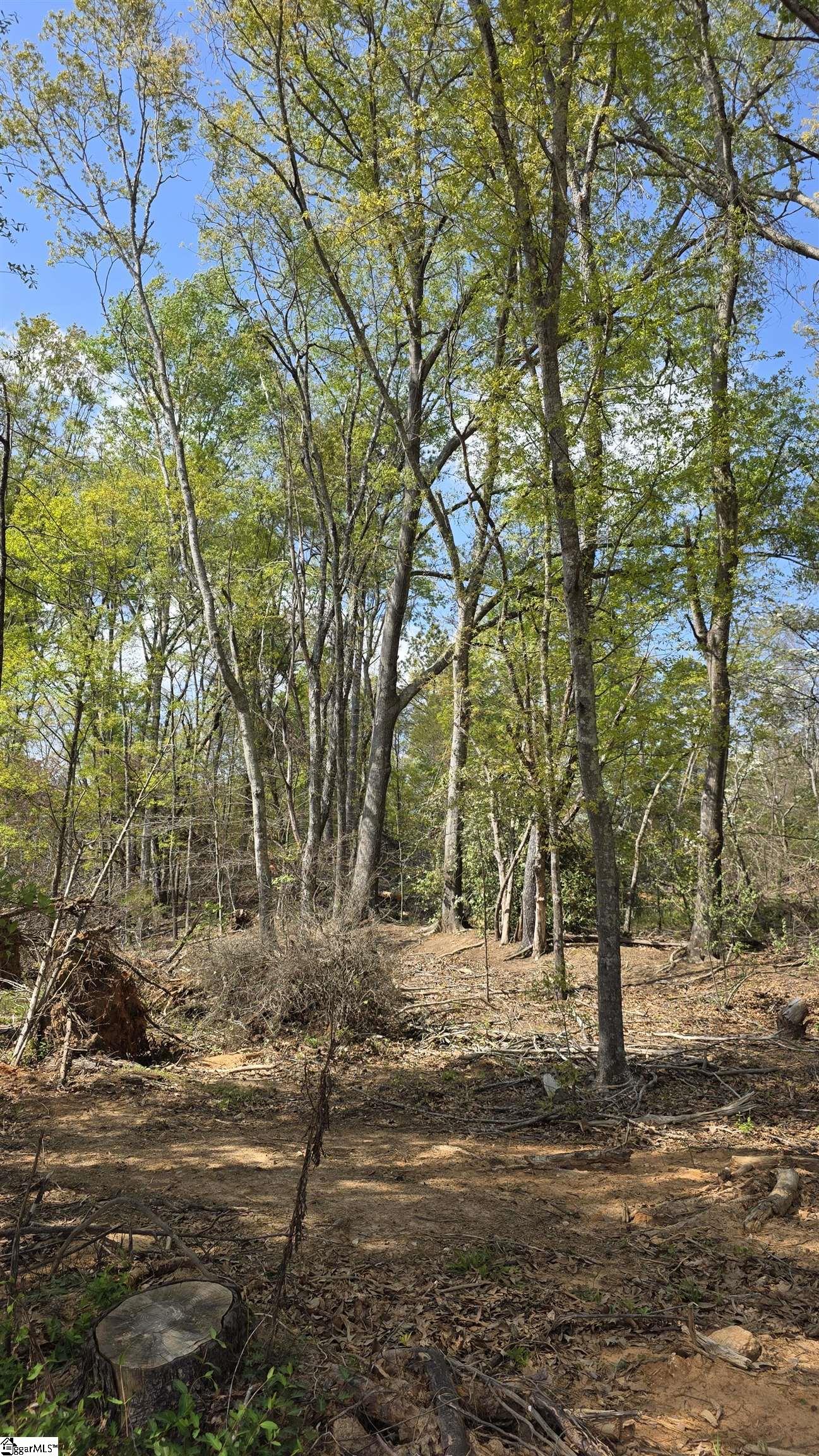 0 Dalton Road Piedmont, SC 29673 - Photo 4 of 7