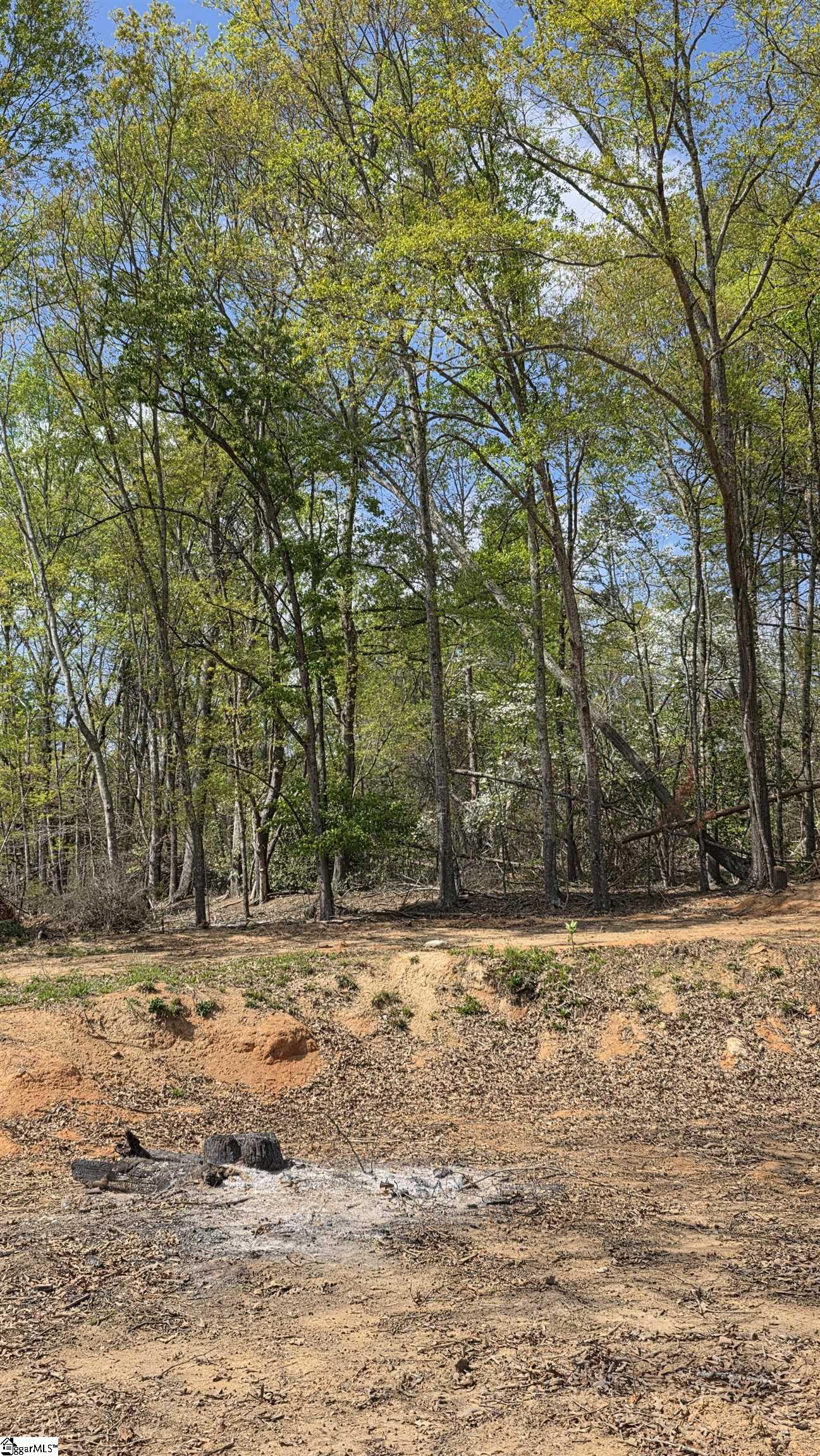 0 Dalton Road Piedmont, SC 29673 - Photo 5 of 7