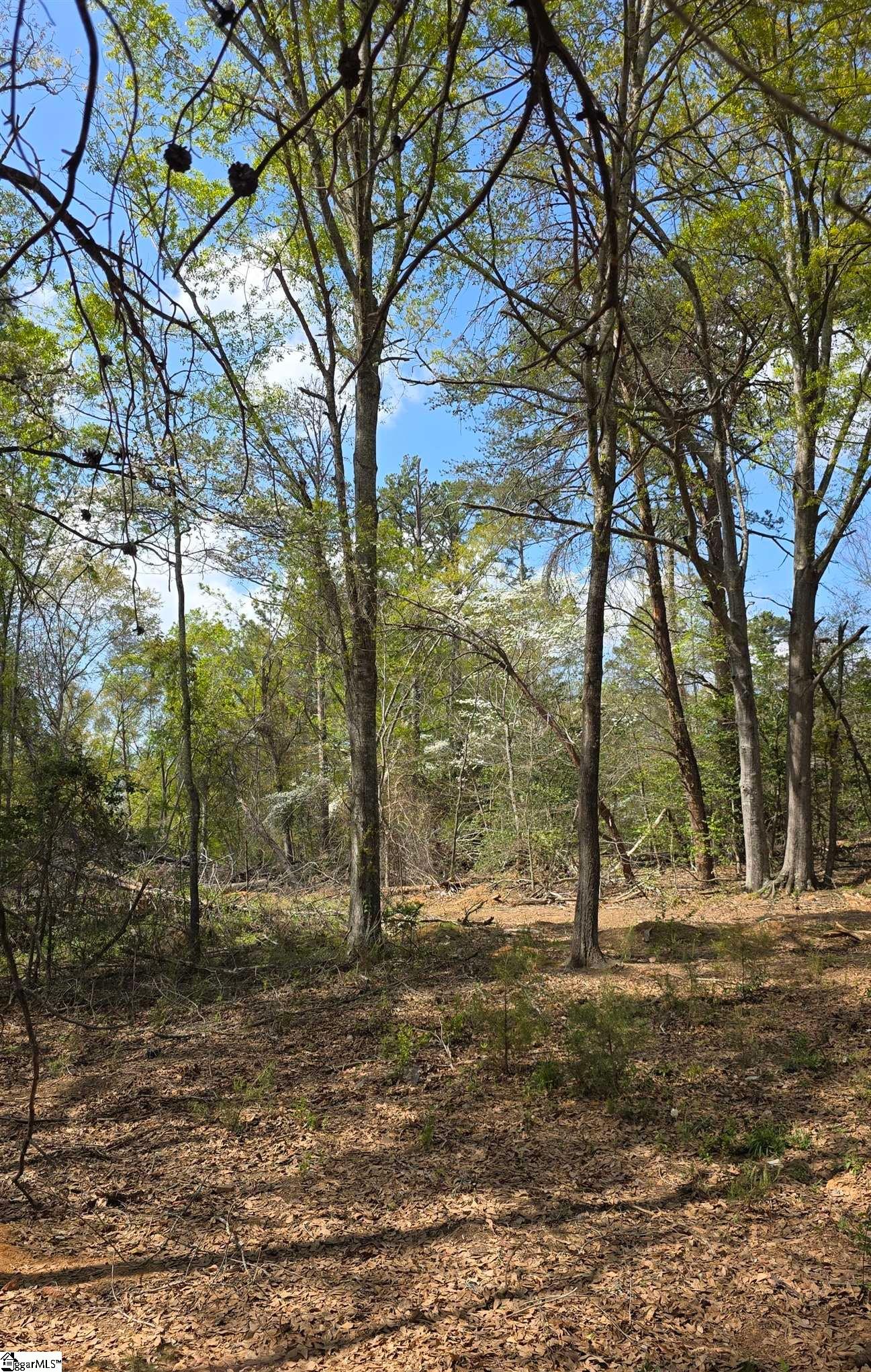 0 Dalton Road Piedmont, SC 29673 - Photo 6 of 7