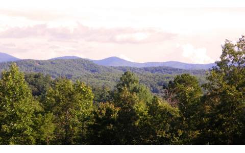 15-ac Victory Ridge Road Morganton, GA 30560 - Photo 1 of 1 Main View
