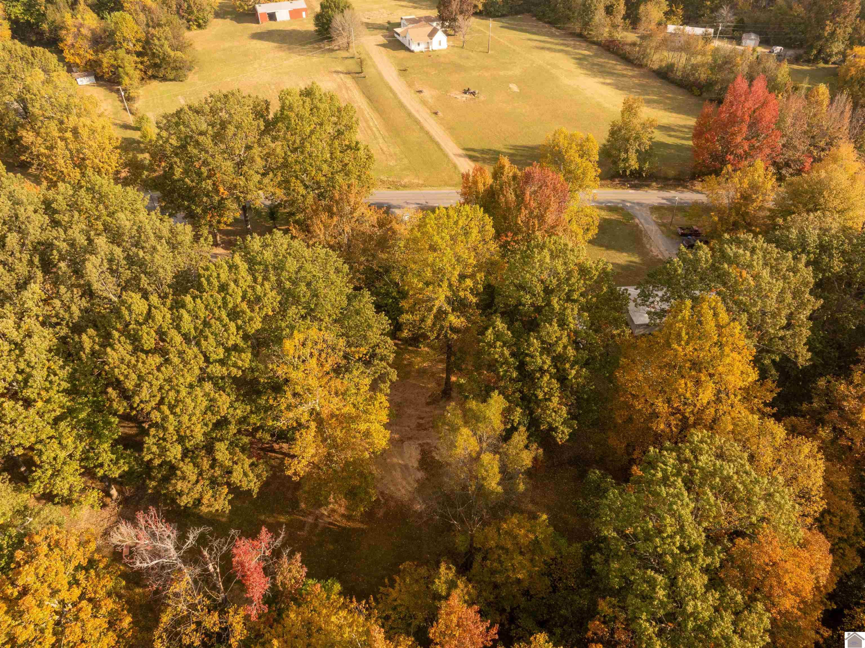 2150 Clark Line Road Paducah, KY 42003 - Photo 4 of 24 Photo 4