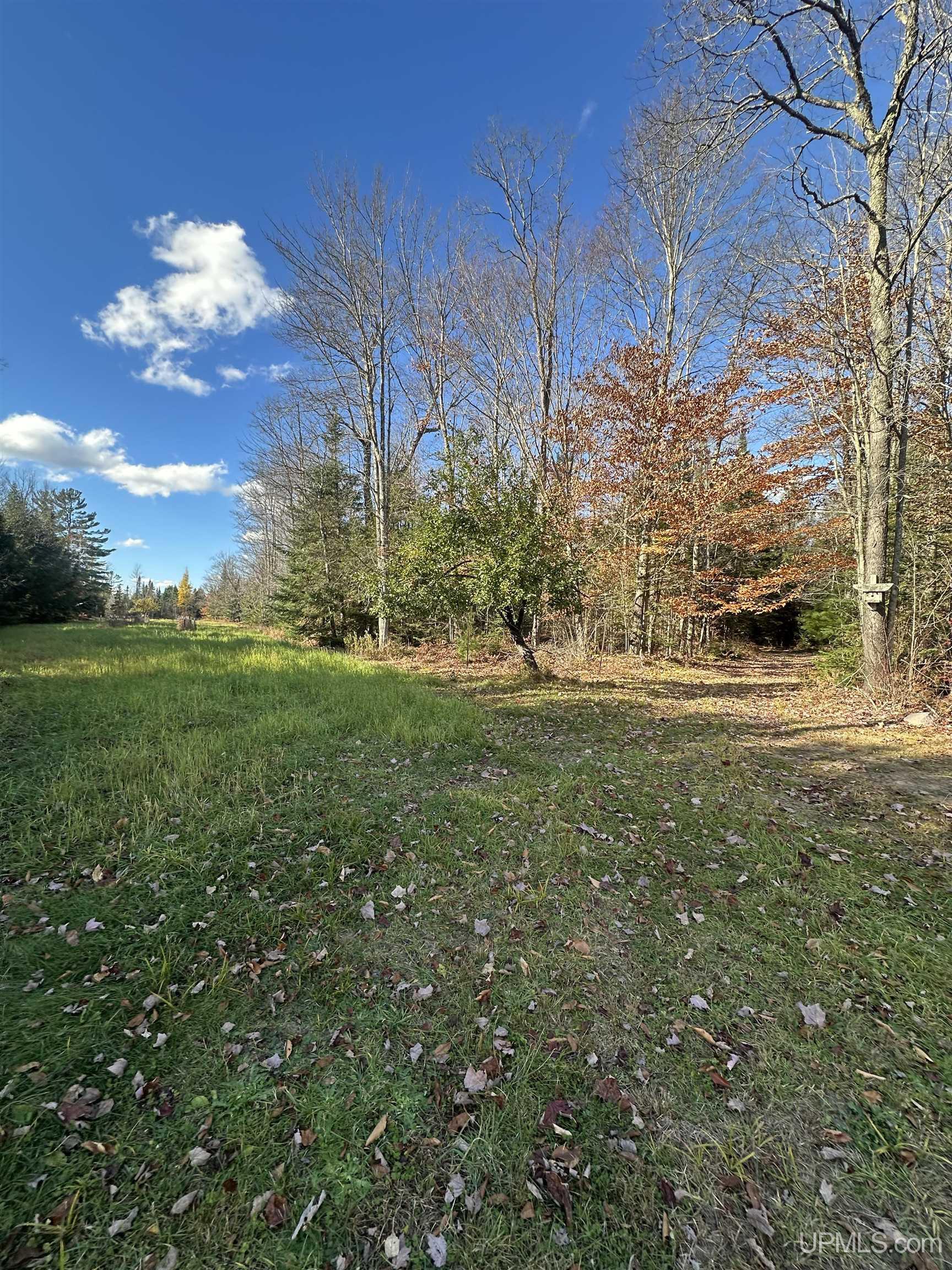 240-acres Long Lake Road Wetmore, MI 49895 - Photo 37 of 39