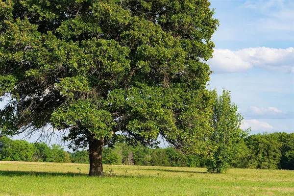 $1,539,500 | 419 Highway 175, Eustace, TX 75124