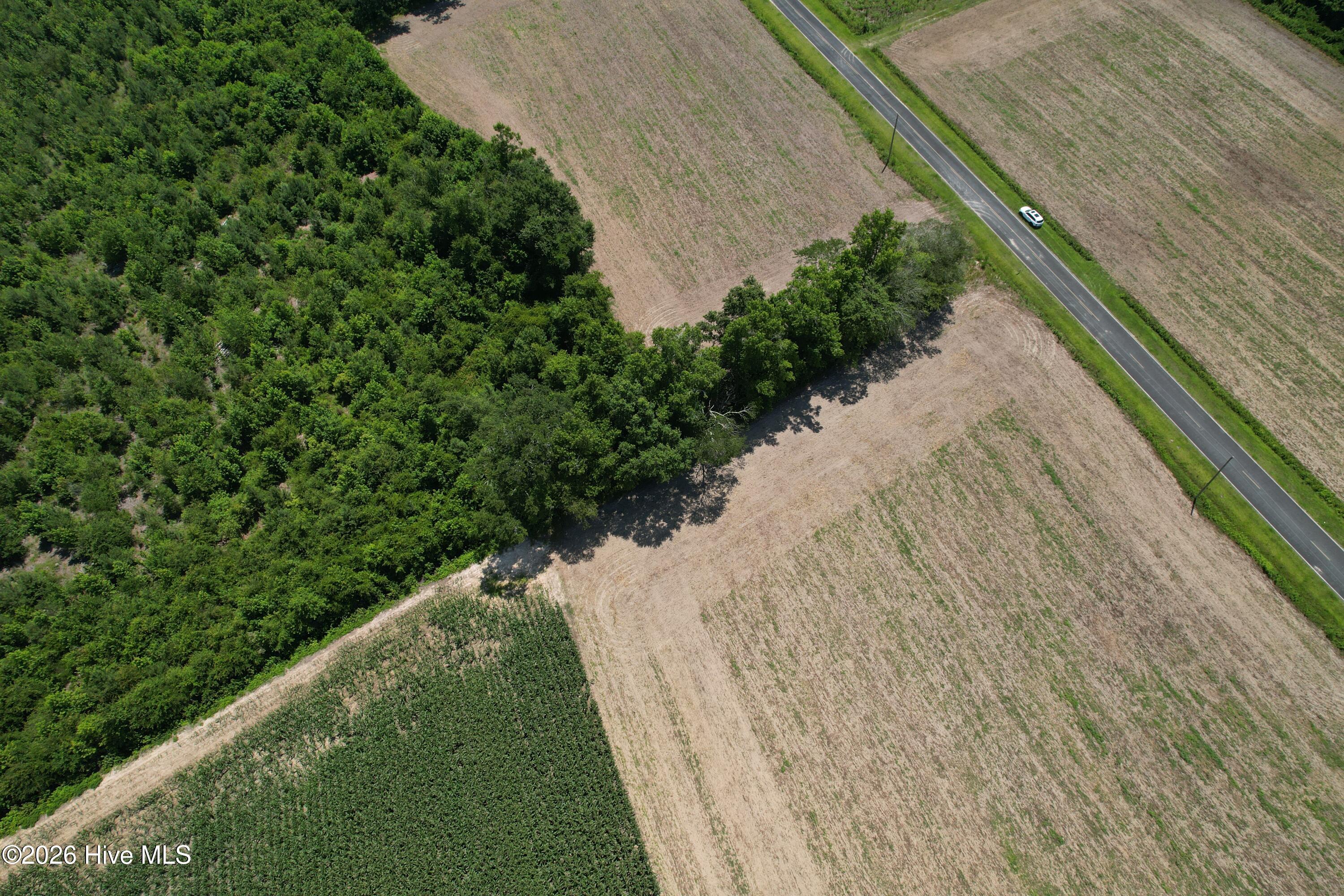 0 Booker Lennon Road Evergreen, NC 28438 - Photo 4 of 28