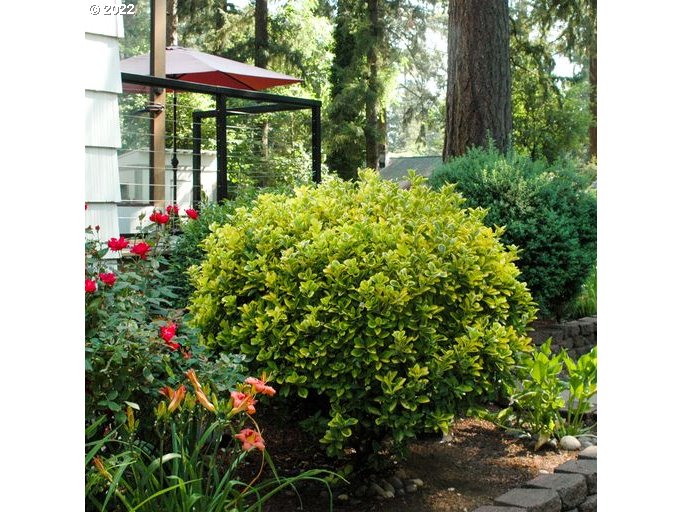 16678 Southwest Inverurie Road Lake Oswego, OR 97035 - Photo 25 of 26 Gallery Image 25