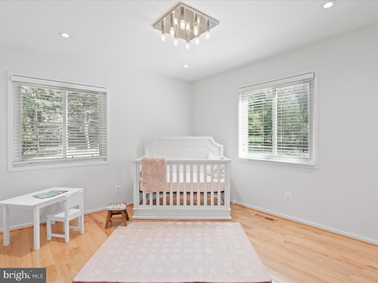 11709 Vale Road Oakton, VA 22124 - Photo 33 of 59 Gallery Image 33