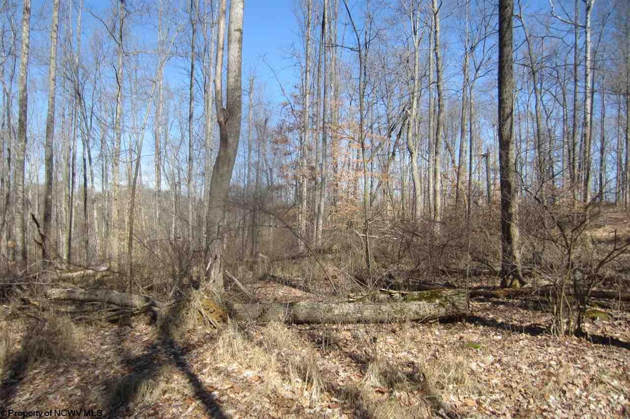 Tbd Sandy Holw Road Bridgeport, WV 26330 - Photo 4 of 20 Gallery Image 4
