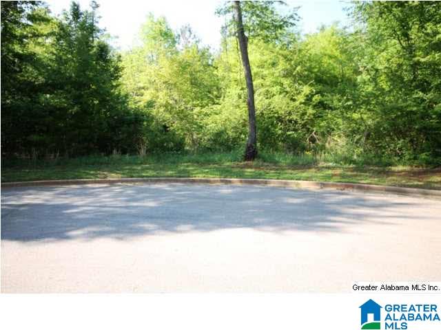 0 Almaroad Place Southwest, Unit 107 Jacksonville, AL 36265 - Photo 10 of 31