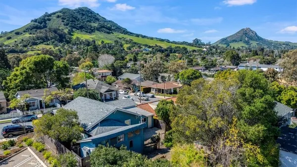 an aerial view of residential houses with outdoor space and trees