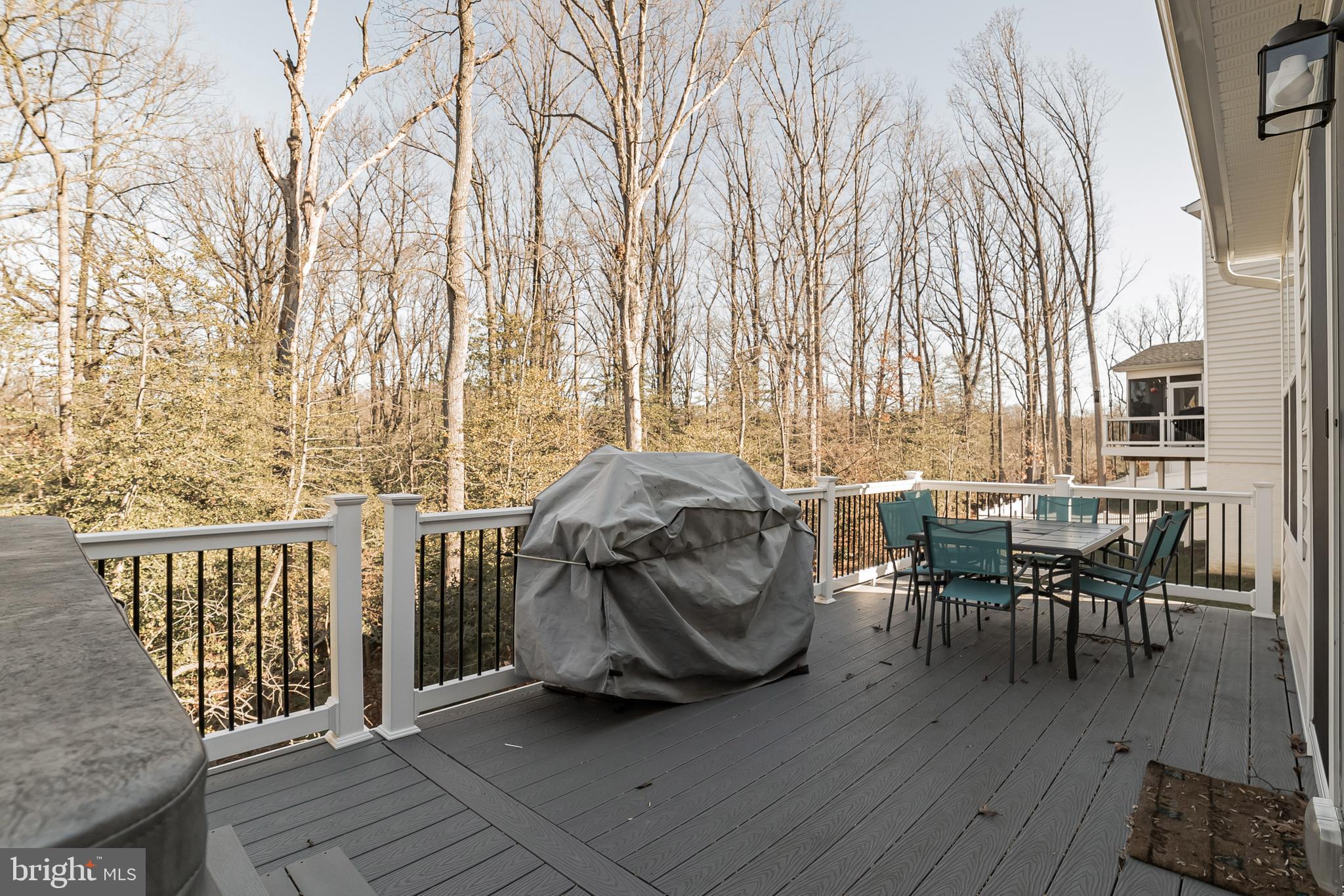163 Moore Road Arnold, MD 21012 - Photo 14 of 35 Maintenance free deck with 6 person hot tub