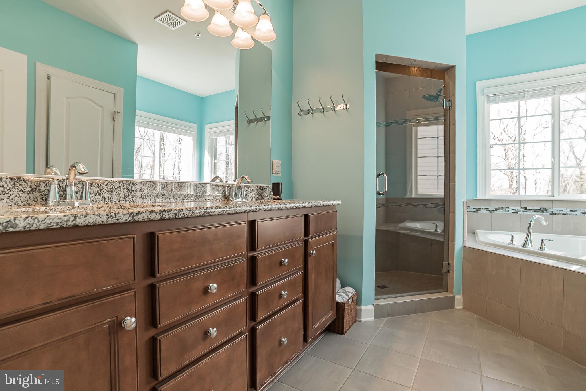 163 Moore Road Arnold, MD 21012 - Photo 18 of 35 Upgraded master bath with Jetted tub & spa shower