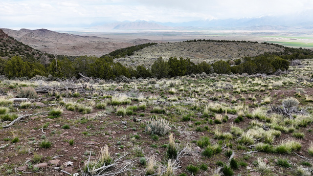 123 West Tbd Willow Spring Road Eureka, UT 84628 - Photo 37 of 60 Expansive undeveloped land with natural vegetation and distant mountain ranges