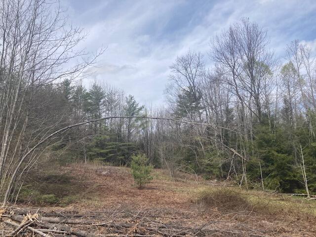 81 Butters Hill Road Stoneham, ME 04231 - Photo 6 of 7 IMG_2125
