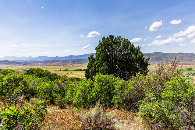 1417 Splendor Valley Road, Unit 41 Kamas, UT 84036 - Photo 11 of 22