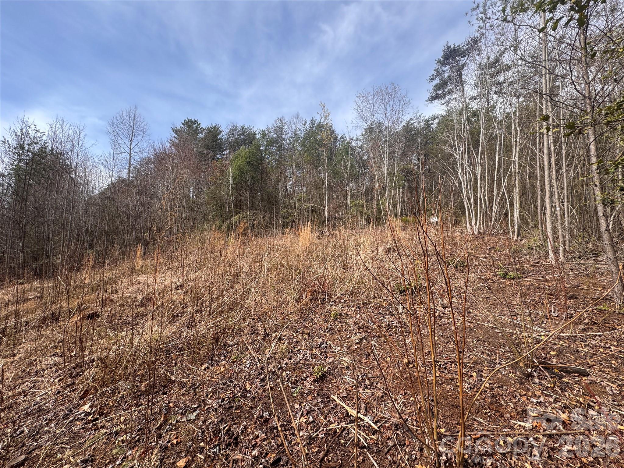 0 Billings Hill Church Road, Unit 56 Traphill, NC 28685 - Photo 5 of 14 a view of a yard with a tree