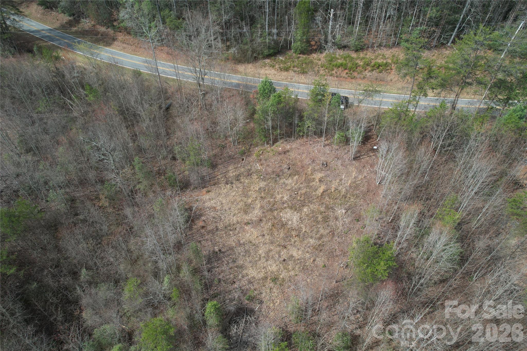 0 Billings Hill Church Road, Unit 56 Traphill, NC 28685 - Photo 10 of 14 a view of a forest with a tree