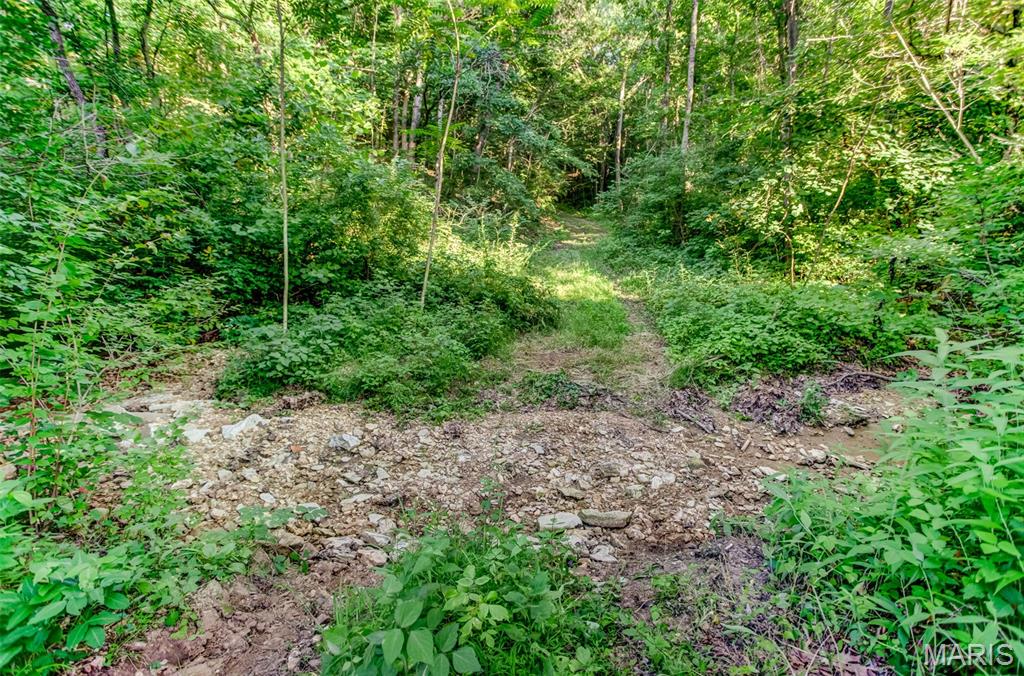 575 Schleeper Hollow Road Hardin, IL 62047 - Photo 38 of 61
