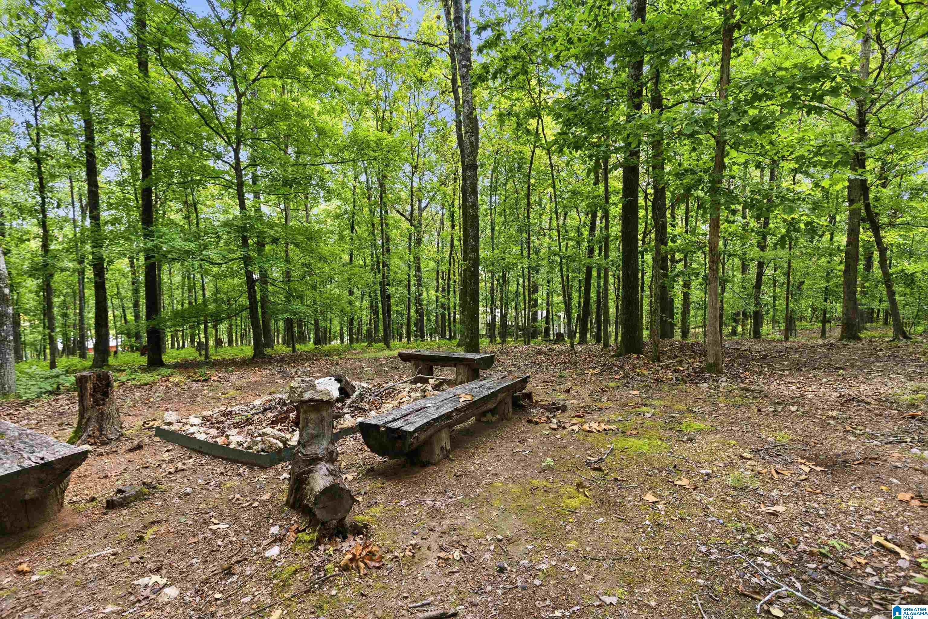 231 Country Ridge Road Montevallo, AL 35115 - Photo 47 of 60
