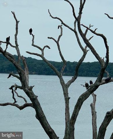 $2,535,000 | 9320 Old Mansion Road, Alexandria, VA 22309