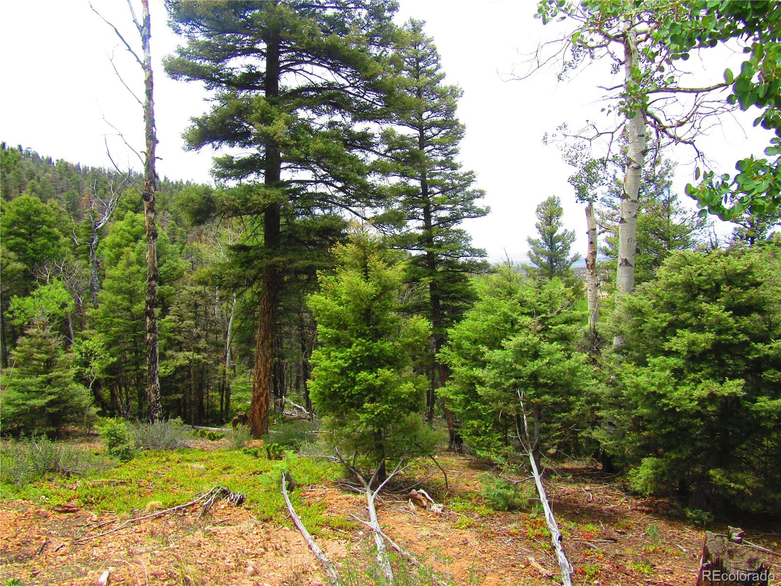 Lot 6028 Spruce Roads San Luis, CO 81152 - Photo 10 of 13