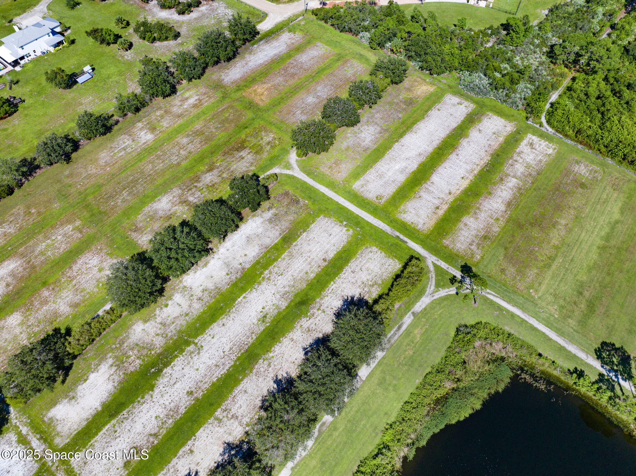 E Berry Road Grant Valkaria, FL 32949 - Photo 23 of 46 a view of a yard with a swimming pool
